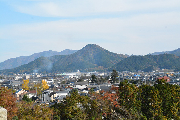 地域密着で最新の地元情報を発信