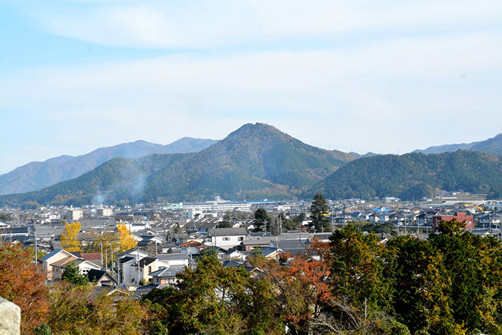 市場動向の把握